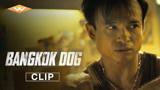 BANGKOK DOG | Exclusive Clip | On Digital November 12