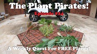 Finding FREE Plants Every Week! |The Plant Pirates Episode #24