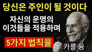 (그리고 남자들은 존중하게 될) 자신의 운명의 주인이 되기 위한 5가지 불변의 법칙 - 칼 융