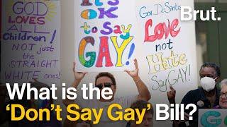 Florida’s “Don’t Say Gay” bill, Explained