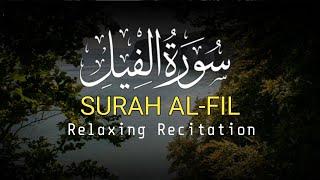 Beautiful Recitation ٱلفِيل Surah Al-Fil  7 Times | Abu Abdullah Muhammad Umar