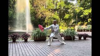 Tai chi YinYang Shan / fan