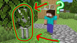 Hide and Seek (Minecraft Animation)