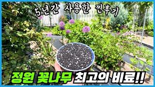 정원 봄꽃나무 꽃 펑펑 터트려주는 최고의 비료!! 5년간 사용해 봤더니??