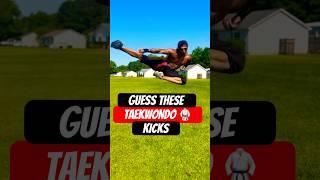Guess These TAEKWONDO KICKS! #taekwondo #shorts