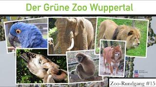 Der Grüne Zoo Wuppertal 2021 | Zoo-Rundgang #15