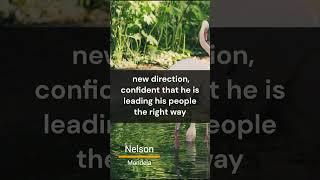 Nelson Mandela Quotes on leadership | There are times when a leader ........... | Quotes of the Day