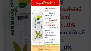 โซเทค แคลเซียมไนเตรท 15 0 0+Ca18 % สำหรับพืชทุกชนิด