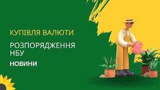 Купівля валюти по-новому. На скільки збільшення суми на місяць?