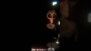 Area 51 Alien Interview GONE WRONG! - (1997 Victor Parody)