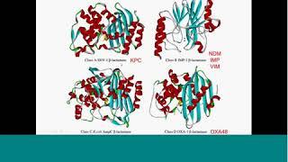 Diverse Mechanisms of Resistance in CRE