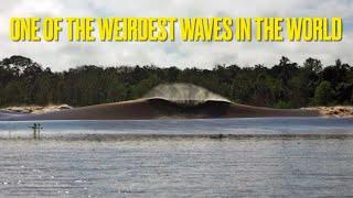 The Pororoca: One of the Weirdest Waves in the World