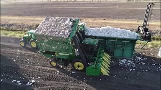 Australian Cotton Harvest 2019