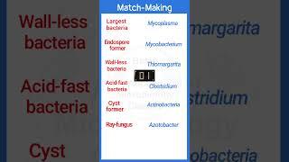 Match-making on types of bacteria | #shorts
