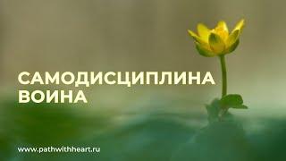 Что такое дисциплина воина? Самодисциплина, осознание, ум, внутреннее безмолвие