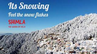 SnowFall in Shimla | Short Video| Sanjauli | Himachal Pradesh | 09 Jan 2022 |Mount Jakhoo|