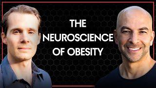 212 - The Neuroscience of Obesity | Peter Attia, M.D. & Stephan Guyenet, Ph.D.