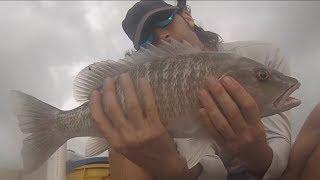 Mangrove Snapper Fishing - How to catch