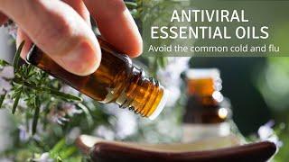 Best Antiviral Essential Oils - Boost Your Immune System Naturally To Relieve A Common Cold And Flu