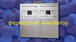 Профессиональный инкубатор на 8000 яиц