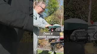 Как я теперь буду общаться со своими немецкими соседями? Строго через окно #shortvideo