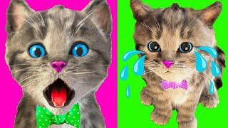 LITTLE KITTEN ADVENTURE PLAYFUL LEARNING - CARTOON CAT AND ANIMATED ANIMALS FOR KIDS