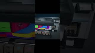 SHAMROCK FEATURE OF THE WEEK | HP Latex 800 Printer Series
