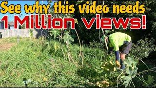 WILD suburban property TAMED! 2 videos in 1!