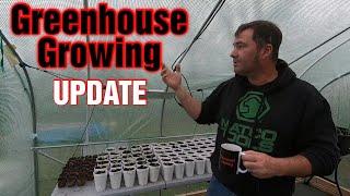 New Updates Greenhouse Growing