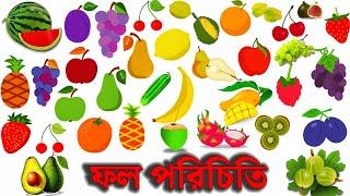 ফল পরিচিত | Fruits Names | Fruits Vocabulary