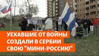 Уехавшие от войны создали в Сербии свою "мини-Россию" | Север.Реалии