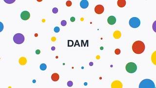 What is Digital Asset Management (DAM)?