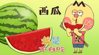 【我是不白吃】23 吃瓜群众是如何炼成的？丨我是不白吃 Mr.foodie