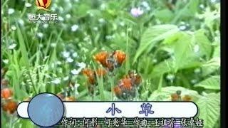 殷秀梅 - 小草