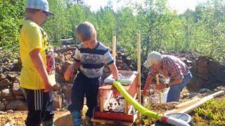 Gold prospecting with my 2 eldest sons in Finland summer 2011.