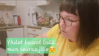 Paluu torstaihin ja Hertan löysävatsa #arkivlog #dailyvlog #cotondetulear #vlog