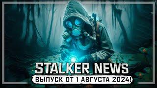 STALKER NEWS (Выпуск от 1 августа, 2024)