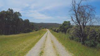 Walking Warrandyte