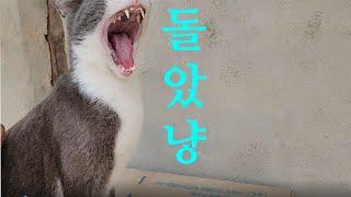 아이들만 넵두고 여행 가도 될까??