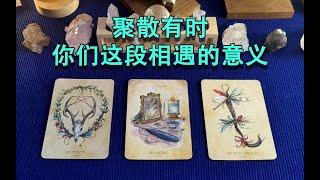 【塔羅牌占卜】聚散有時：你們這段相遇的意義是什麼？