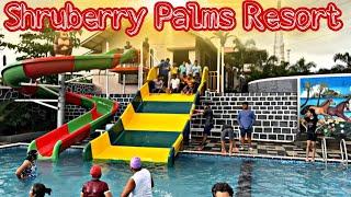 Shruberry Palms Resort (Kasara) | ऑफिसच्या मित्रांसोबत चि मज्जा | #weekend#youtube#travel