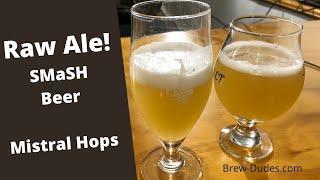 Raw Ale Tasting - No Boil Brewing Experiment - Brew Dudes