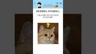 비트코인, 이더리움 뭐가 더 좋아요??! #비트코인 #이더리움 #해외선물