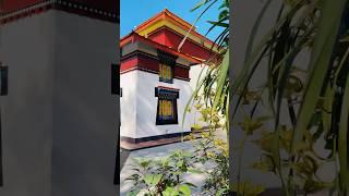 Enchey Monastery  Sikkim #sikkim #shorts #short #reels #reel #god
