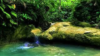 Soothing Creek Water Flow Between Stones | Relaxing River Sound for Meditation & Sleep