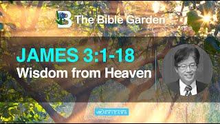 Wisdom from Heaven / James 3:1-18 / Chicago UBF