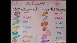 1Std ICSE EVS Vegetables List some grow above & below the ground