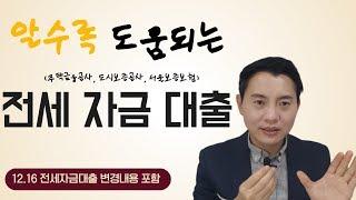 알수록 도움되는  전세 자금 대출 정리