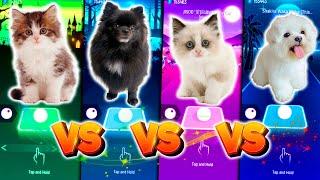 CUTE CAT GUMMY BEAR & ARIANA GRANDE SANTA TELL ME ARIAAN GRANDE JISOO FLOWER MARK RONSON UPTOWN FUNK