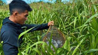 Những Đầm Hoang Này Cá Bự Còn Nhiều Kinh Khủng Toàn Quái Vật